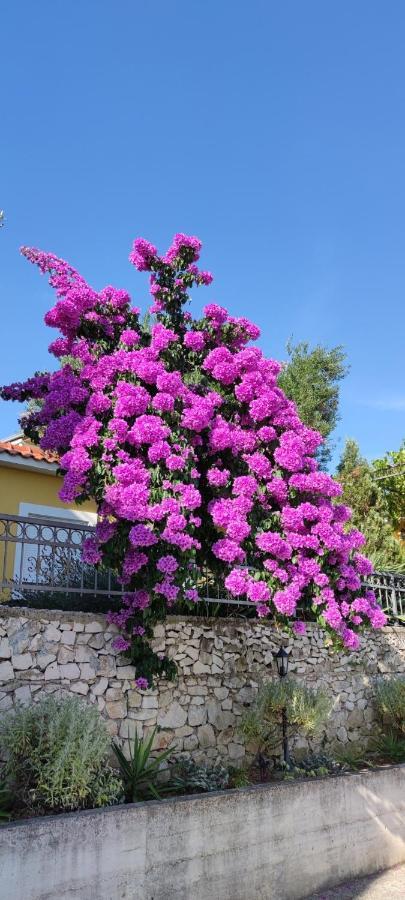 Apartments Sofija Slatine Dış mekan fotoğraf